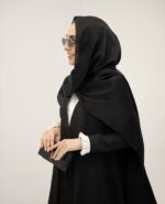 عبا دیپلمات - تصویر 2